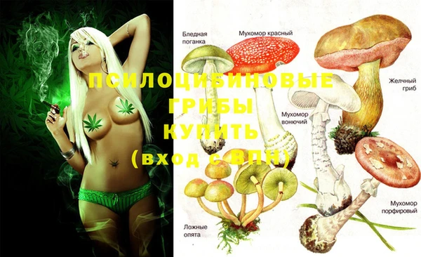 крисы Нея
