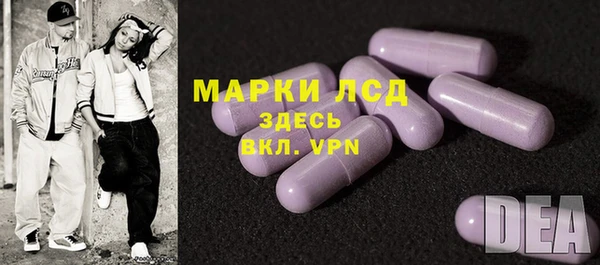 шишки Наволоки
