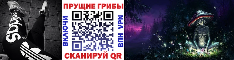Псилоцибиновые грибы мицелий  Урус-Мартан 